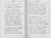 С. 384 – 385 За неї рай свій молодий…