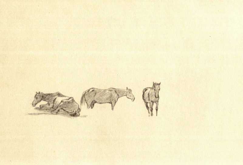 Taras Shevchenko. Horses (fol. 21 v.)