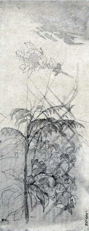 Taras Shevchenko. Ornamental plants